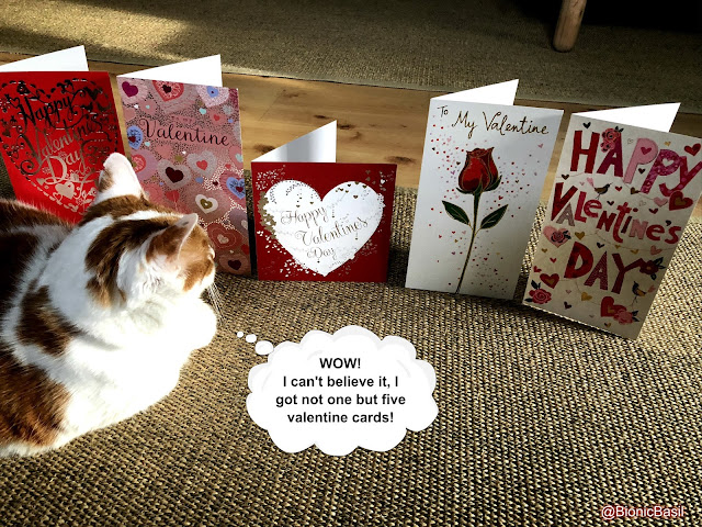 Feline Fiction on Fridays #119 at Amber's Library ©BionicBasil® Valentine's Throwback 2018