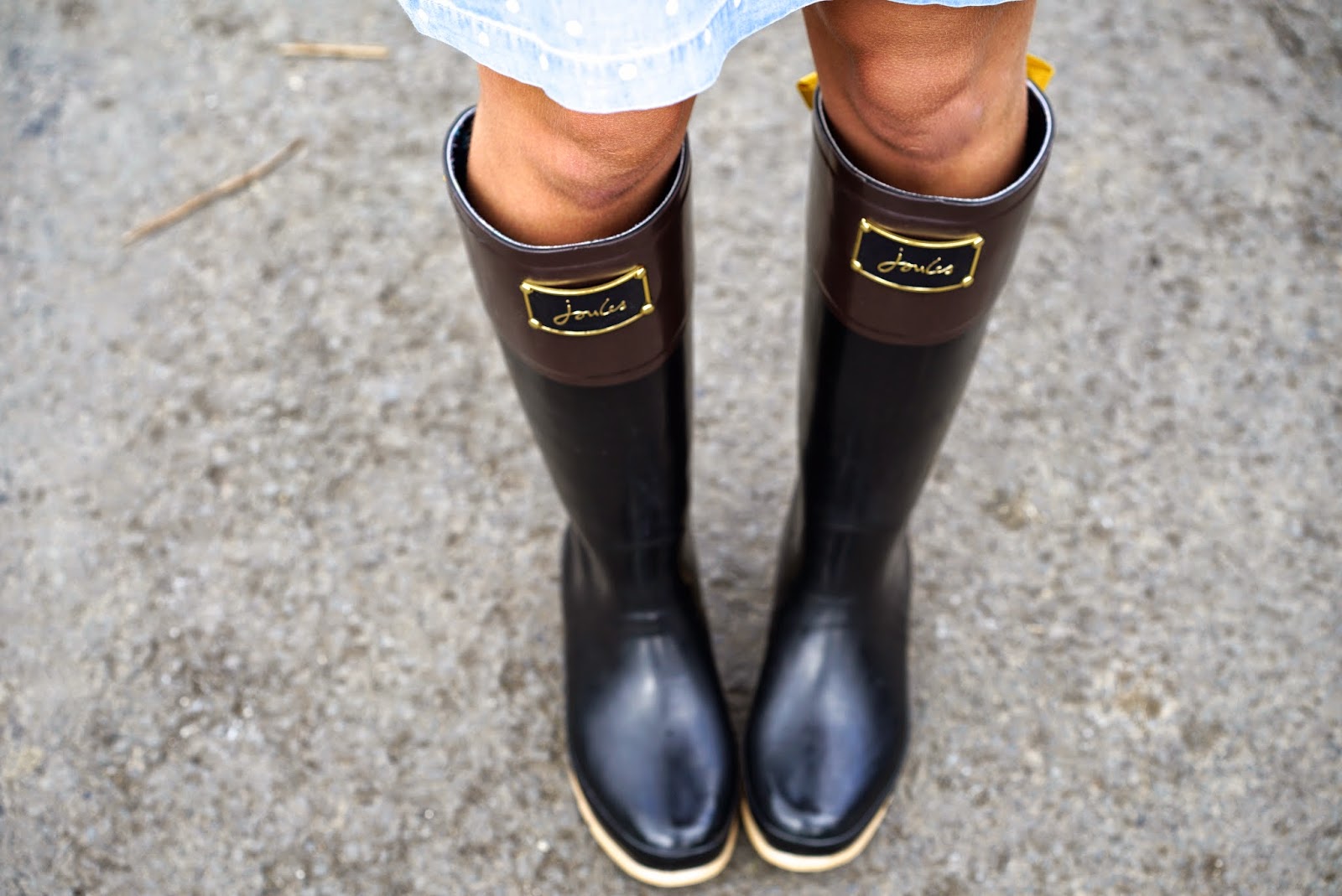 joules wellies