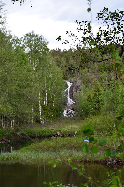 DSC_0139.JPG