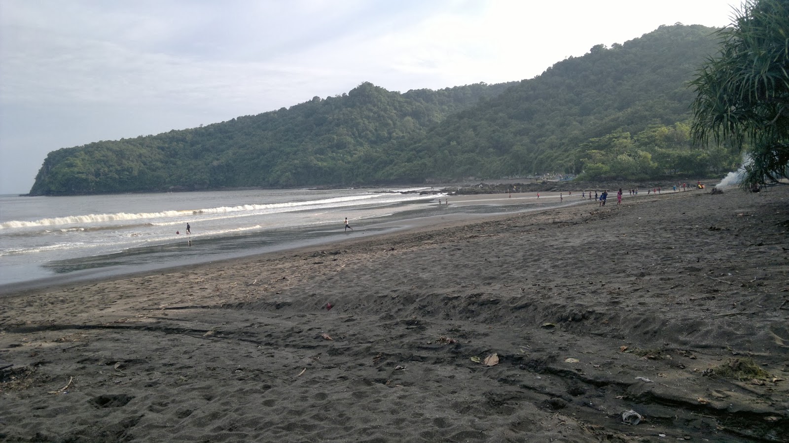 Fakta Unik Pantai Grajagan - Jejak Wisata Lukmantoro