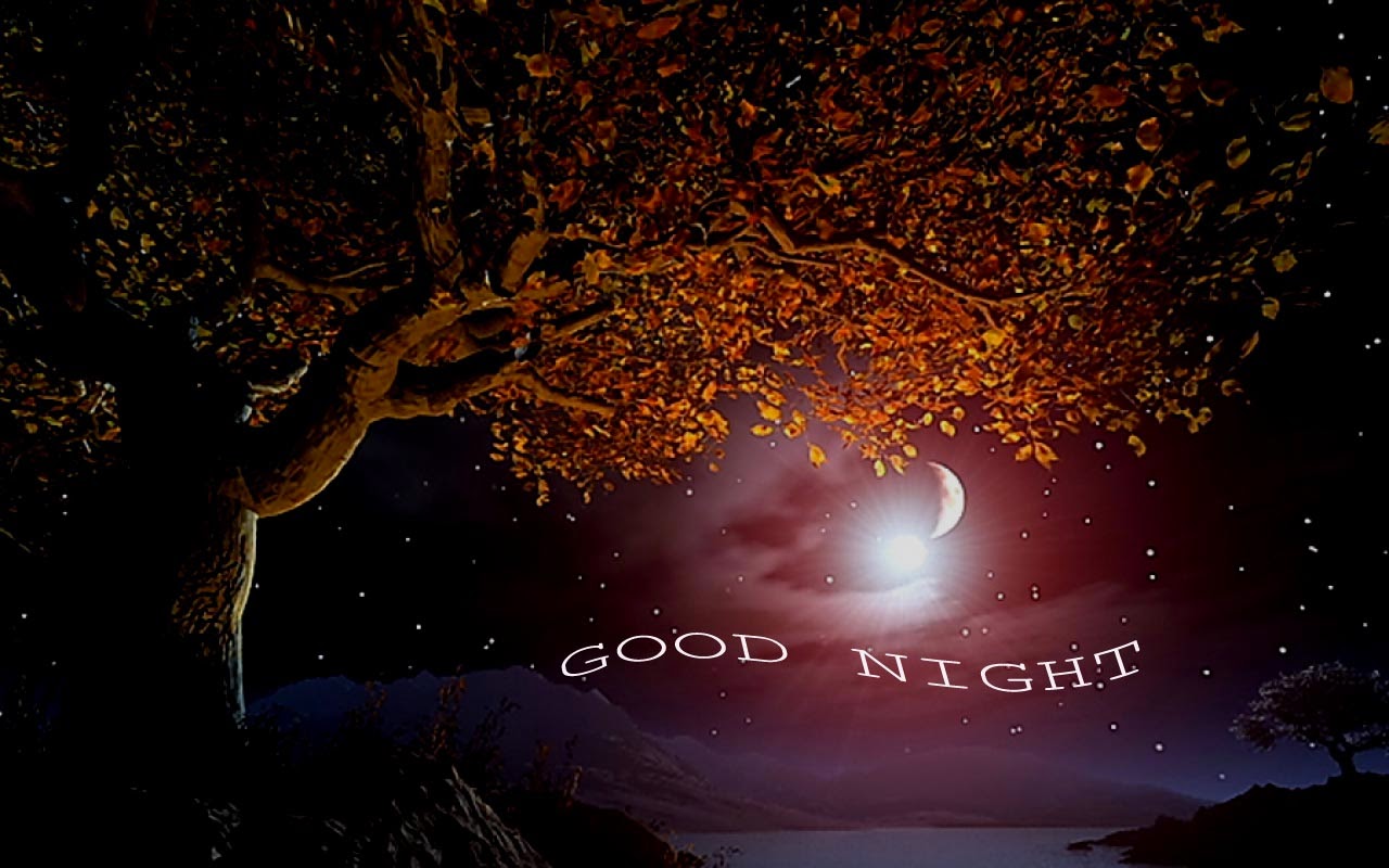 Good Night HD Wallpapers Free Download ~ Unique Wallpapers