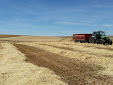 Cereal harvesting days... machinery has changed a lot / Cosecha de cereales... mucho ha cambiado la maquinaria