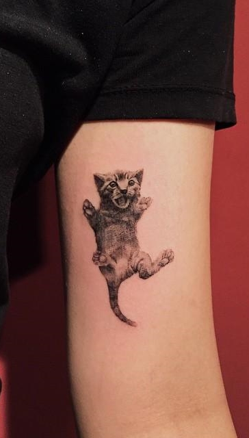 Tatuagens femininas de gatos Tatuagens femininas de gatos