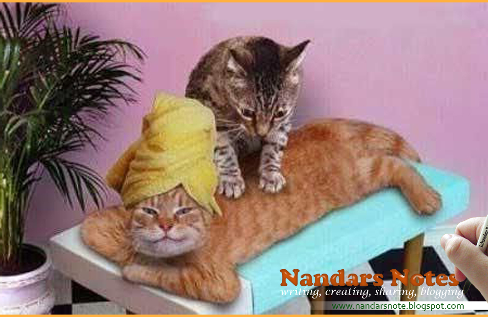 Notes Nandar Kucing Lucu dan Unik