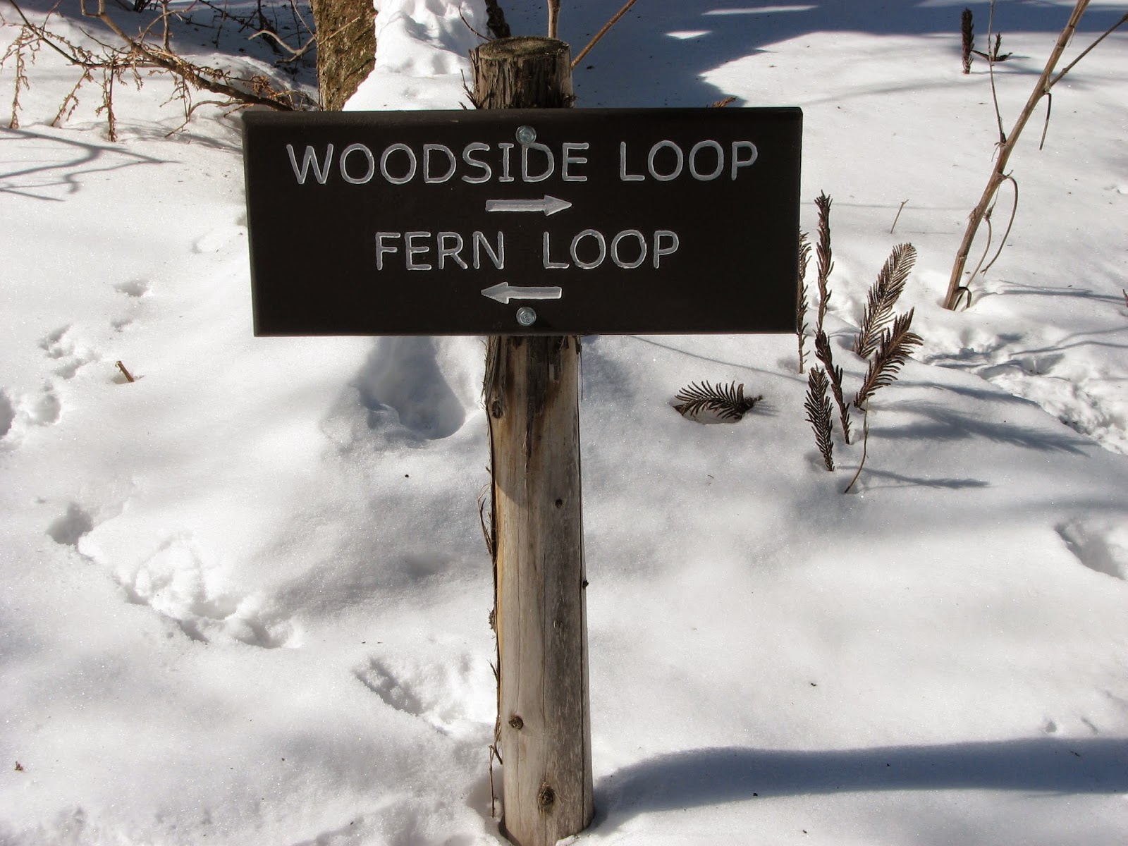 Woodside Natural Area, nature trailsWVPD. (Photos). In search of the