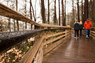 Idiom- A Walk in the Park Making Eye Contact With Americans