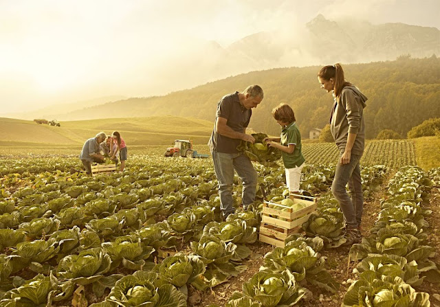 Quali Sono Le Conseguenze Della Moderna Agricoltura Sull Ambiente AGRICOLTURA E BIOTECNOLOGIE