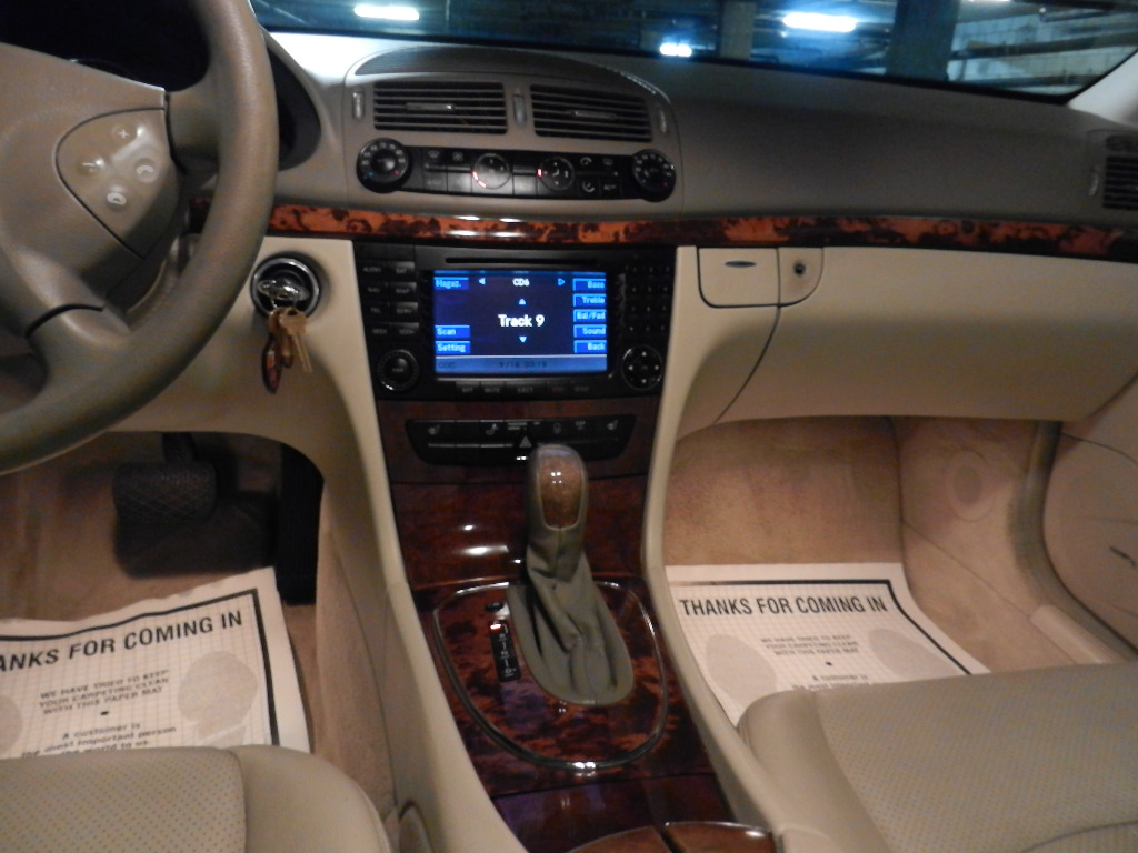 cheap finches for sale