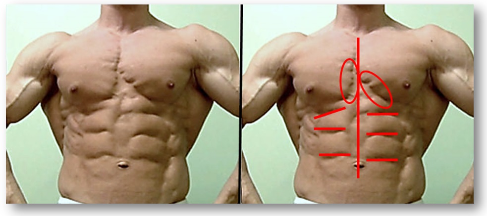 3500 kcal dieta per bodybuilding