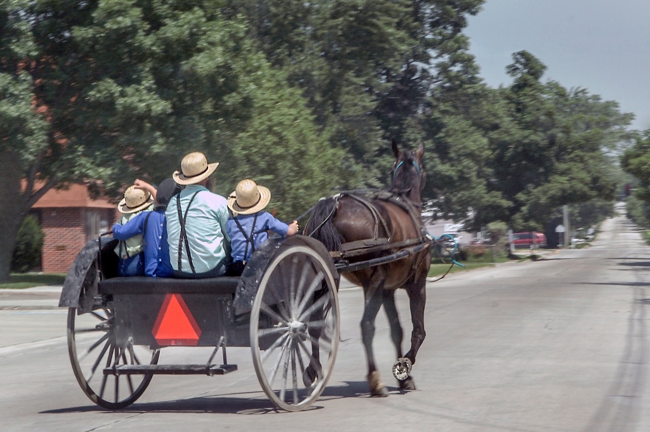 Bailey's Buddy Nostalgic Amish Life near Kalona, Iowa Photos by Bob Kellly
