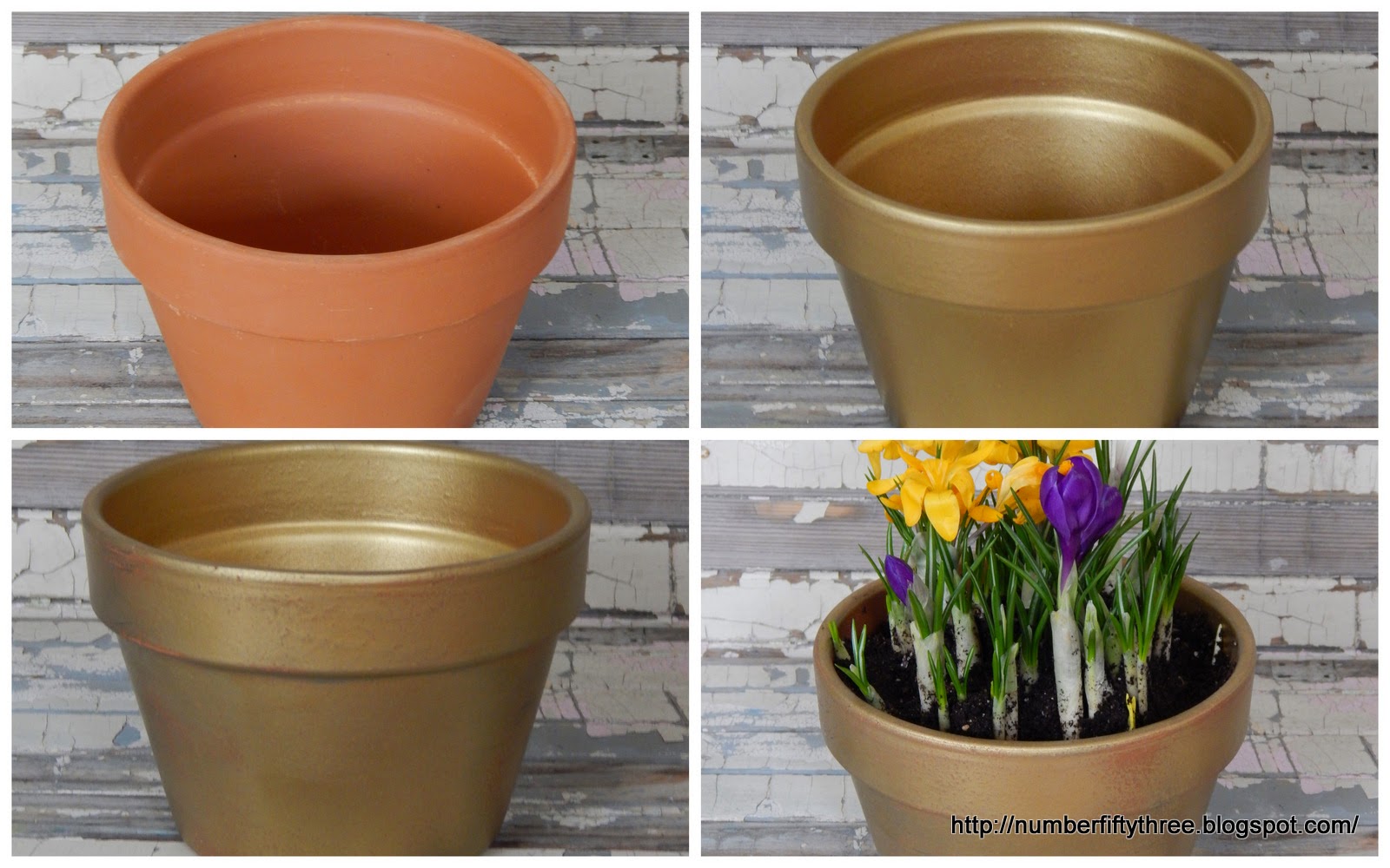 Rustic glam painted terracotta pot Jennifer Rizzo