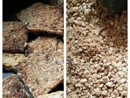 Teknologi Hasil Pertanian Oncom Merah Dan Oncom Hitam