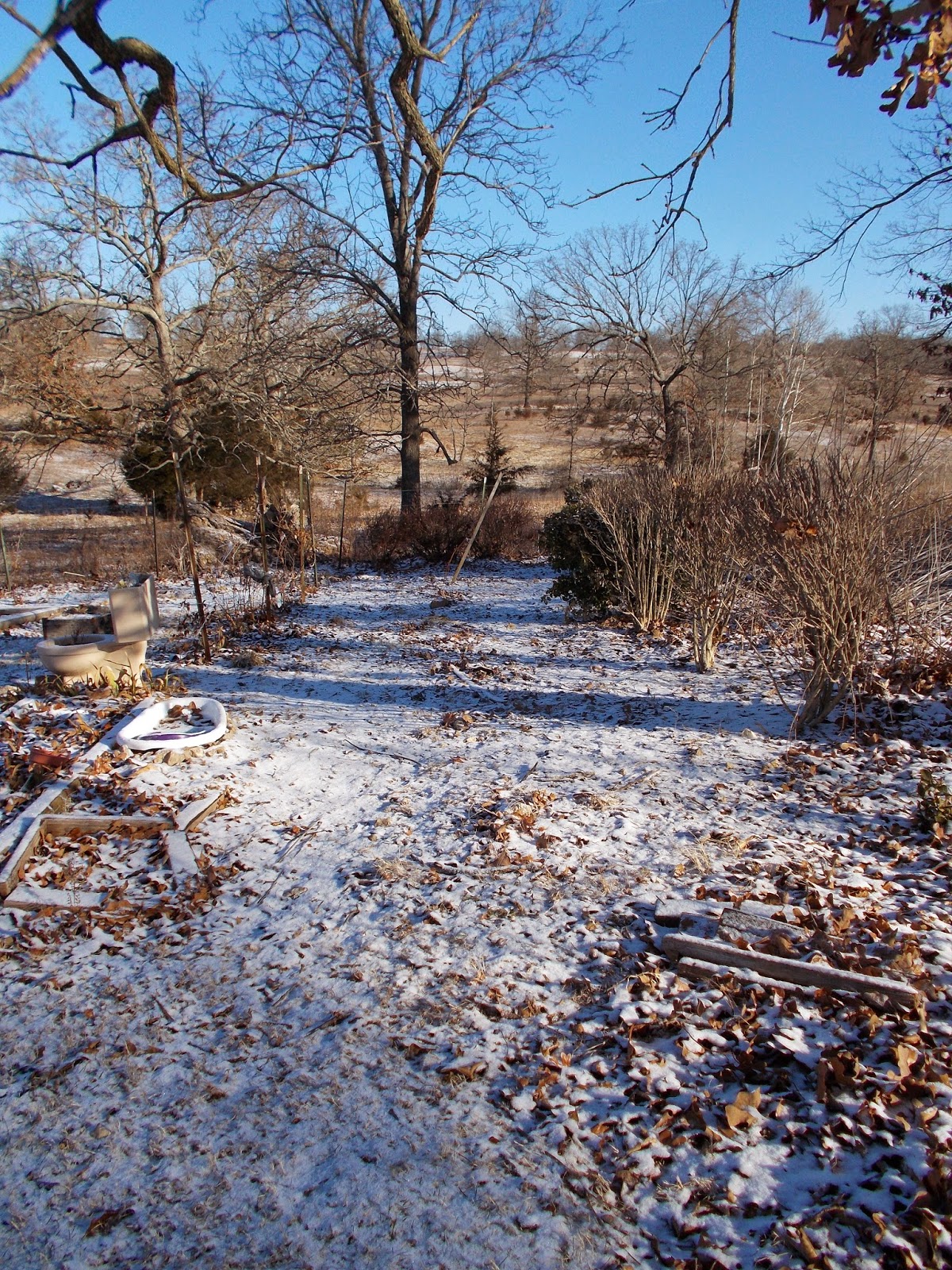 my garden blog.... we got a trace of snow...