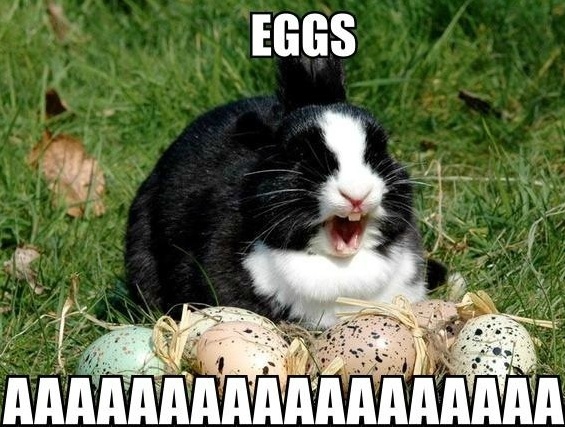funny}} 2018 happy easter memes easter memes 18 happy easter meme%2B16 funny}} 2018 happy easter memes easter memes 18 happy easter