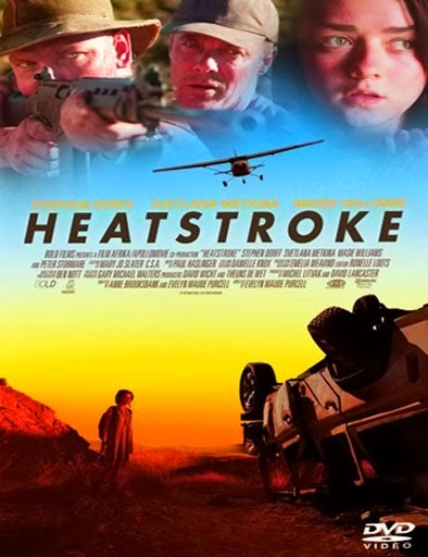 Heatstroke+(2013).jpg