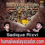 http://www.humaliwalayazadar.com/2014/10/sadique-rizvi-nohay-2015.html