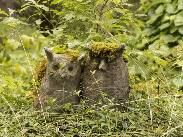 Mossy owls at the Parikkala Sculpture Park roadside attraction in Finland