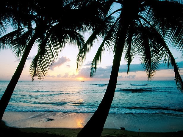 Las-mejores-playas-de-Barbados.jpg