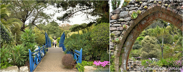 Les îles Scilly Tresco abbey gardens