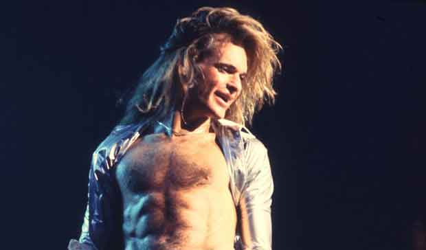 asuransi sperma david lee roth daftar asuransi paling aneh di dunia