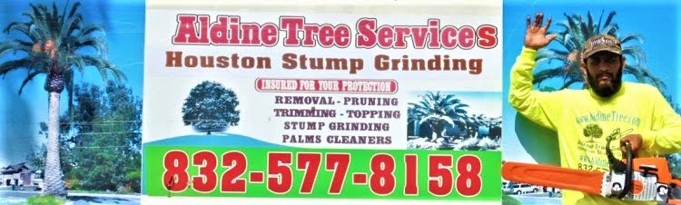 Aldine tree services Houston stump grinding