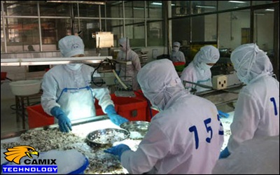 Công ty lắp đặt hệ thống xử lý nước thải nhà máy thủy sản - Thách thức của ngành chế biến hải sản tỉnh Bà Rịa-Vũng Tàu