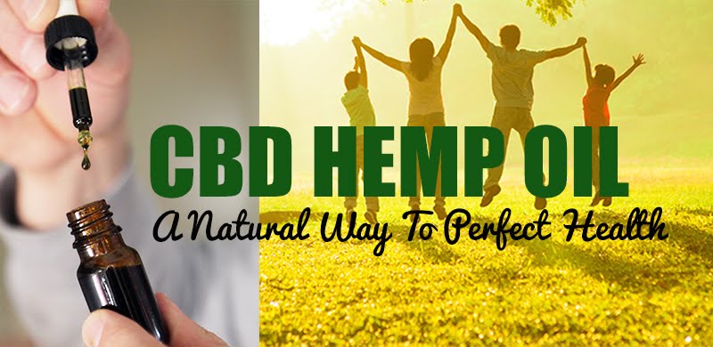 Visit Hemp and CBD Store Today! Just click on image.