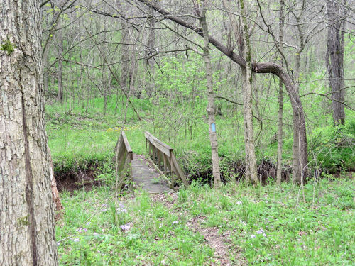 trail bridge