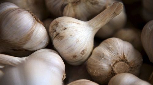 Cara Mengobati Sakit Gigi Dengan Bawang Putih Cara Mengobati Sakit Gigi Dengan Bawang Putih