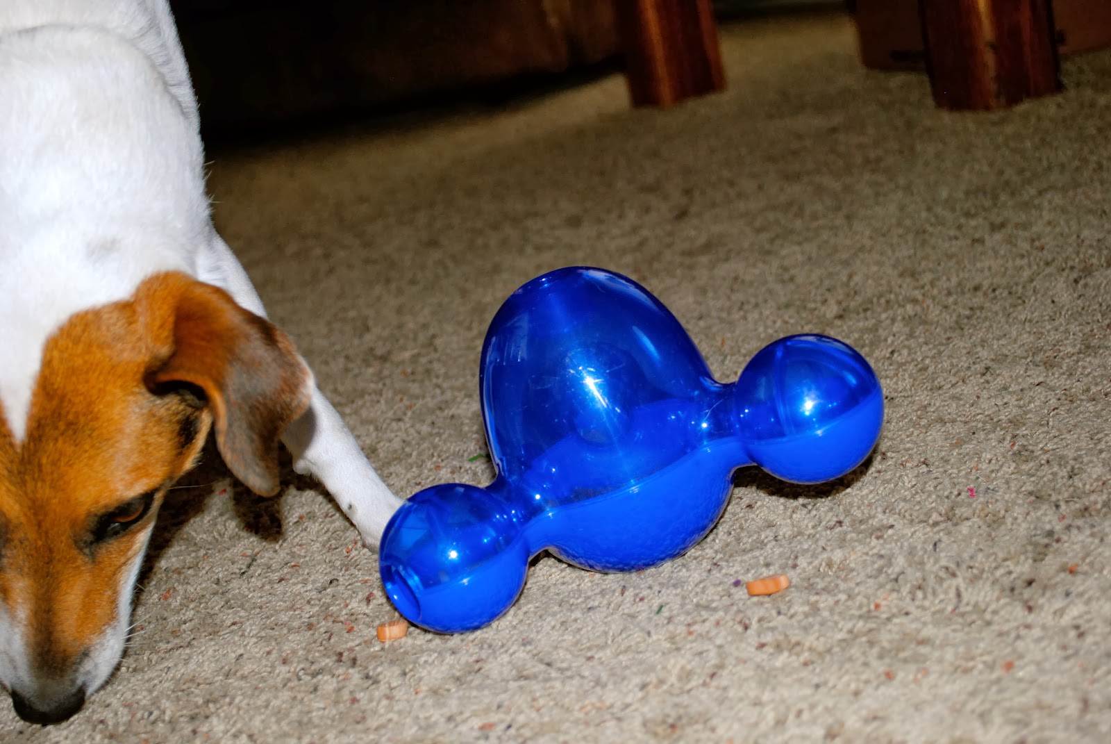 deanna time KONG Dog Toys GIVEAWAY