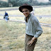 12 FILMES COM ELVIS PRESLEY