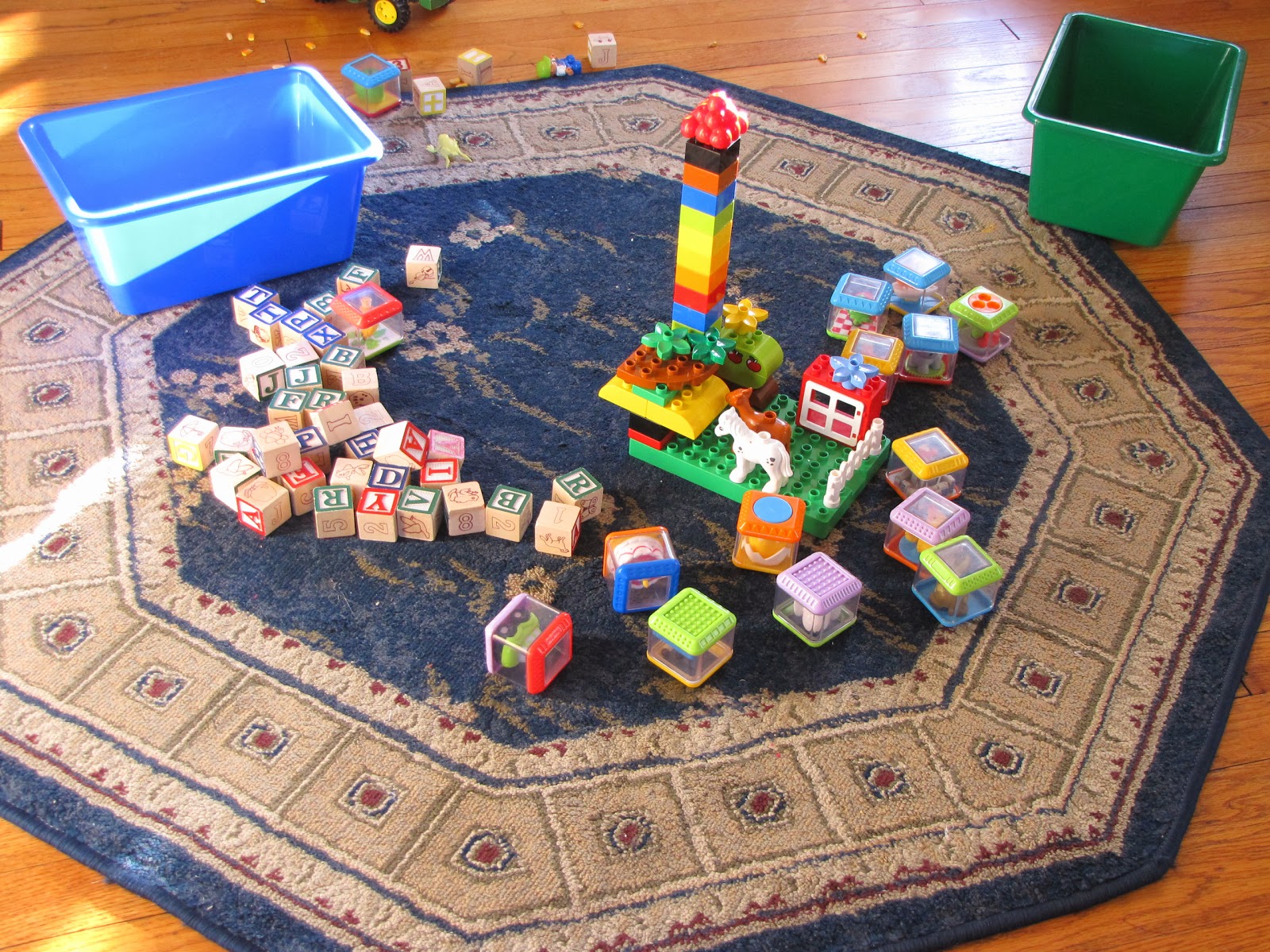 Butler Snapshots: Rug Time