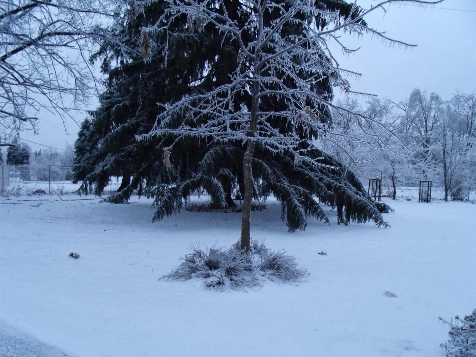 Gear Acres at Top of the Hill: Ice Storm Damage