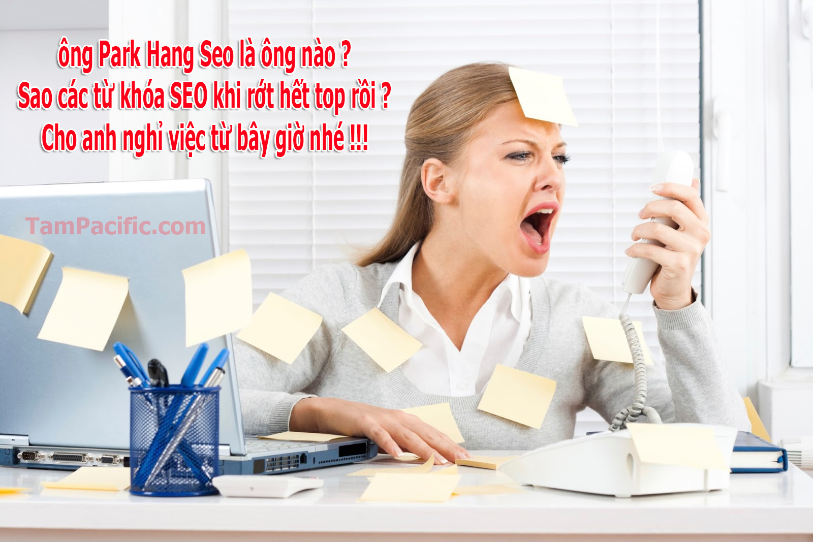 Có người bảo tôi nên SEO từ khóa huấn luyện viên Park Hang Seo Có người bảo tôi nên SEO từ khóa huấn luyện viên Park Hang Seo