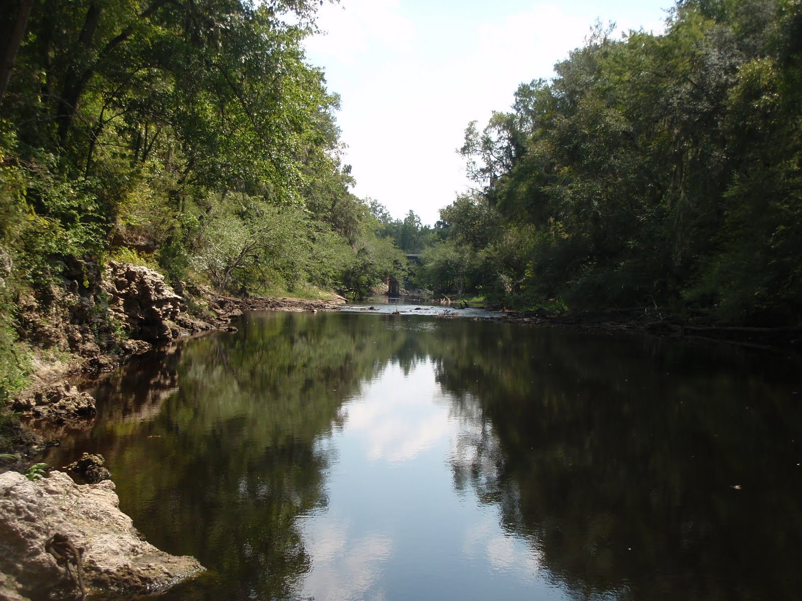 Alapaha River Water Level Alapaha Ga at Nicole Marshall blog
