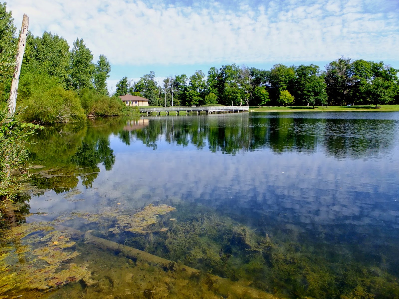 Plants Amaze Me: Grand River Park and Grand River Open Space in Ottawa 