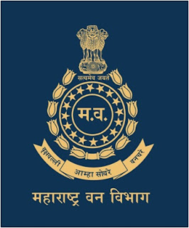 Mahaforest Answer Key 2017 | 43 Posts | Forest Guard Jobs | Sarkari Naukri Maharashtra Forest Department, MAHAFOREST, freejobalert, Sarkari Naukri, Mahaforest Answer Key, Answer Key, mahaforest logo