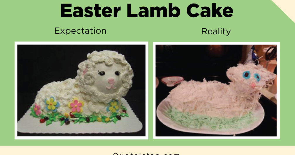 Expectation Vs Reality Easter Lamb Cake