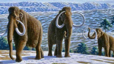 amazing-extinct-animals-resurrected-by-cloning-woolly-mammoth