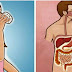 MUST READ: This Would Happen To Your Body If You Drink A Glass Of Hot Water On An Empty Stomach Every Morning.