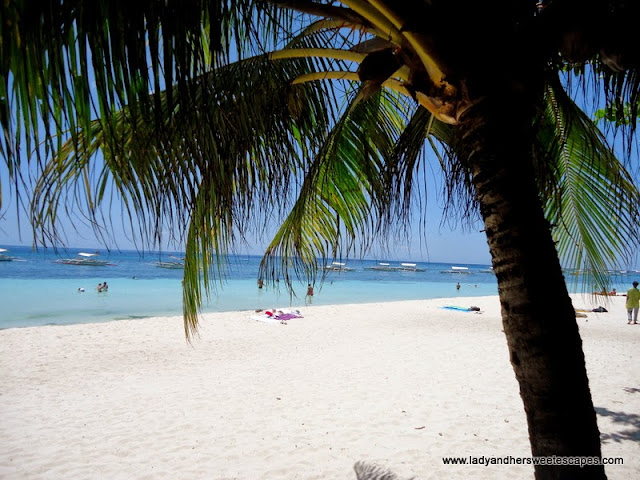Alona Tropical Beach Resort Bohol