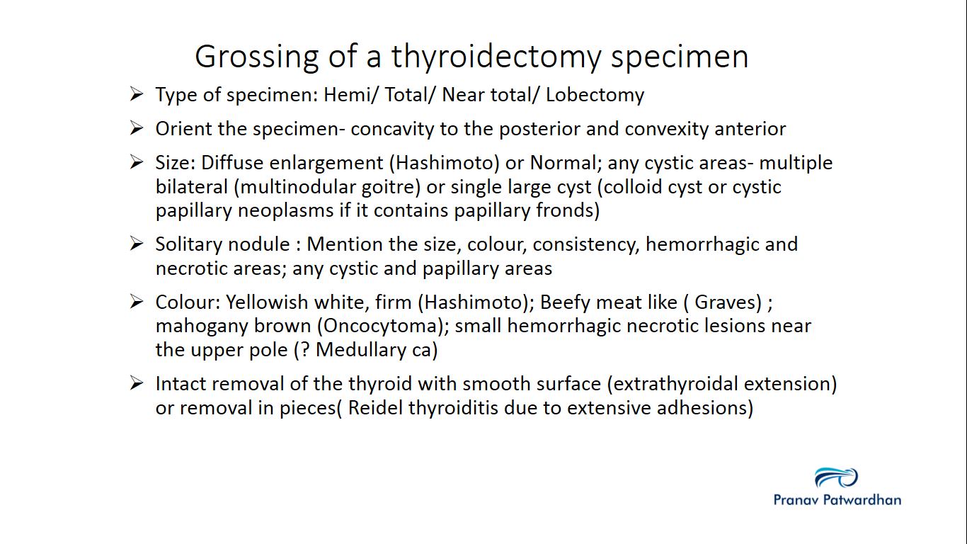 Medicowesome Grossing the thyroid and differentials to be considered