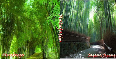 Wisata Hutan Bambu, Indonesia Wisata Hutan Bambu, Indonesia