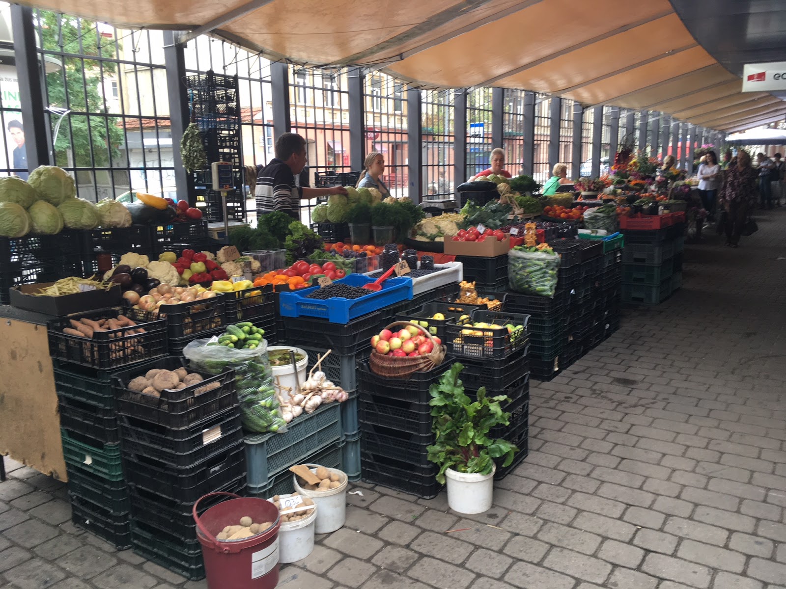 Anotch Halés Turgus