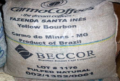 Kopi Termahal di Indonesia dan Dunia Kopi Termahal di Indonesia dan Dunia