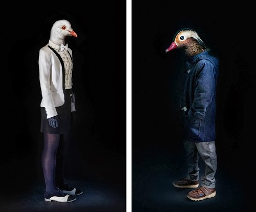 14-Dove-and-Duck-Miguel-Vallinas-Segundas-Pieles-Second-Skins-Smartly-Dressed-Animals-www-designstack-co