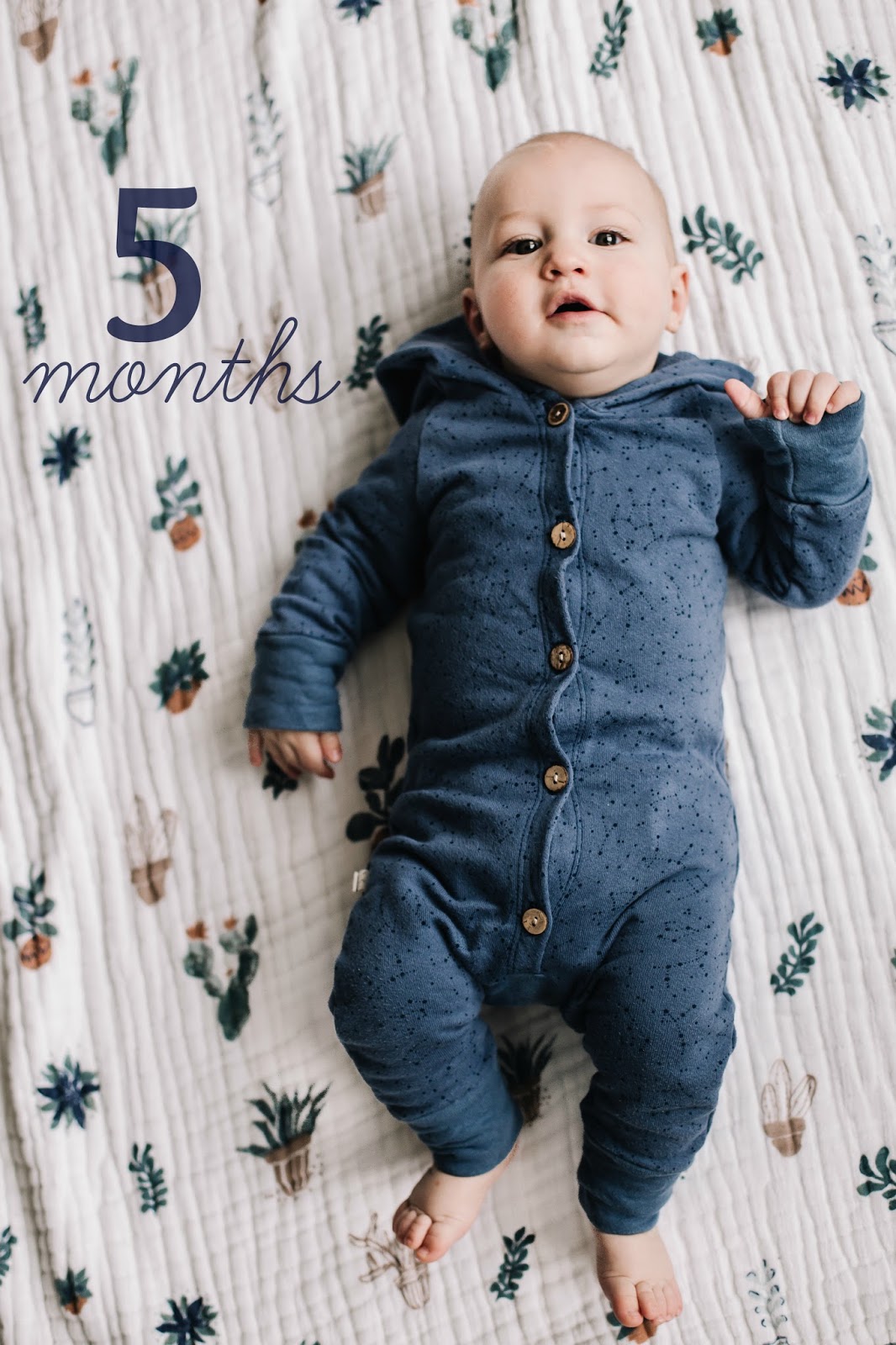 baby boy at 5 months