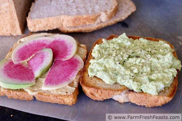 how to make an avocado egg salad sandwich with watermelon radish and hummus