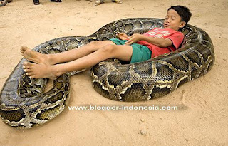 Foto Anak Kecil Tidur Di Atas Ular Foto Anak Kecil Tidur Di Atas Ular