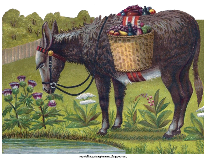 Donkey eats clover All Victorian Ephemera